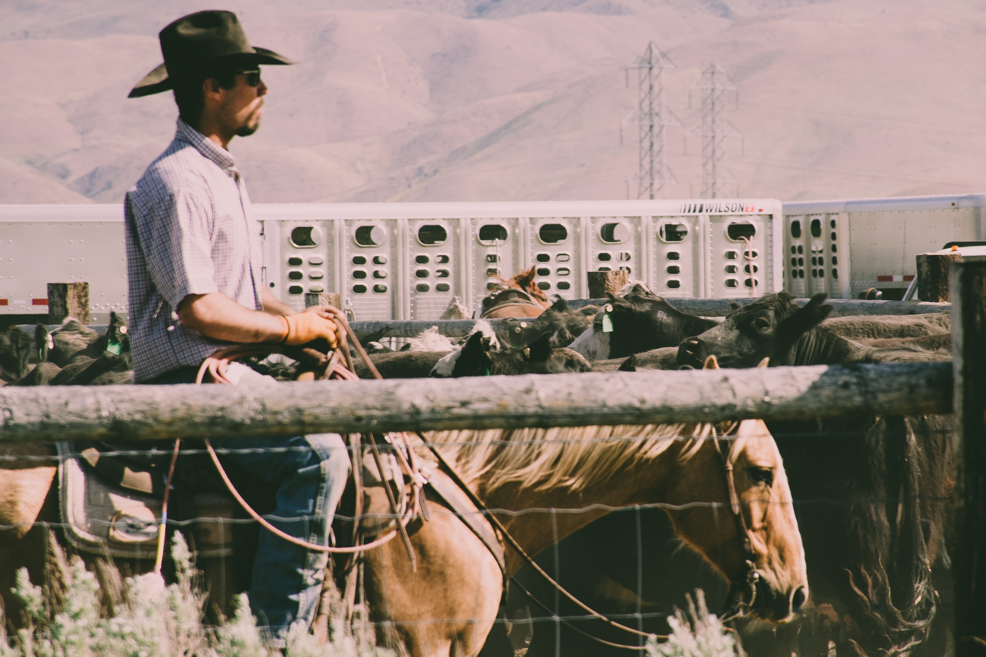 United States Cattle on Feed Up Slightly