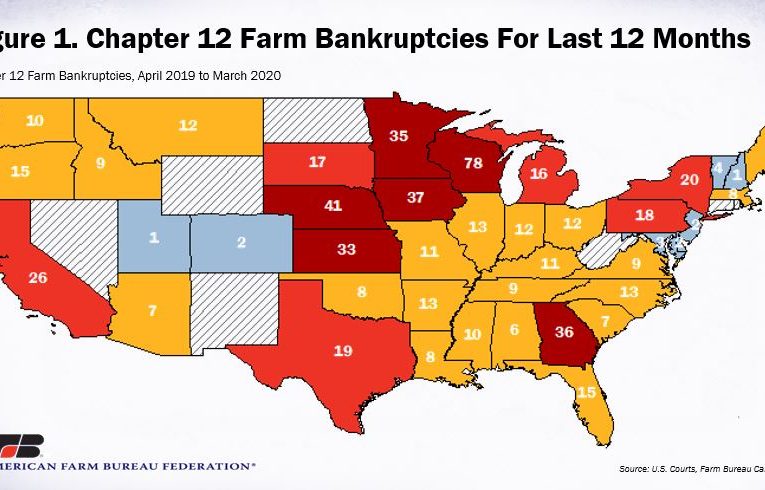 Farm Bankruptcies Mark Five Years of Consecutive Growth