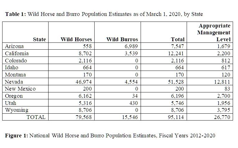 BLM’s Fertility Vaccine May Control Wild Horse Population