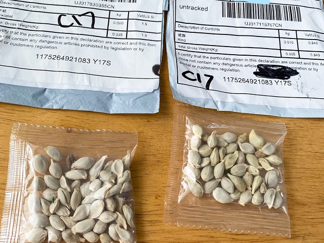 USDA Investigators Outline Details of Suspicious Seed Deliveries