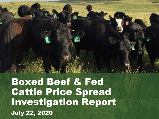 USDA Releases Report Surrounding Recent Cattle Market Disruptions