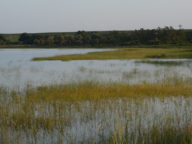 GAO Says NRCS Needs Improvement in Wetland Determinations