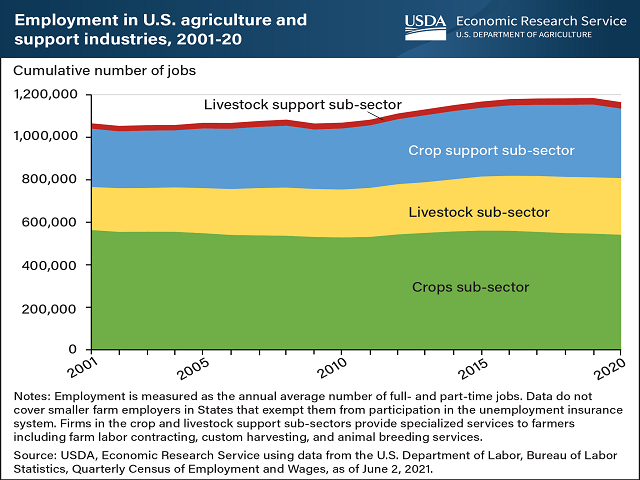 Agricultural Workforce, Led By Livestock Sector, Gradually Increasing