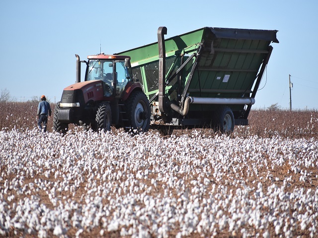 Working Group to Unveil Recommendations for New Farmers