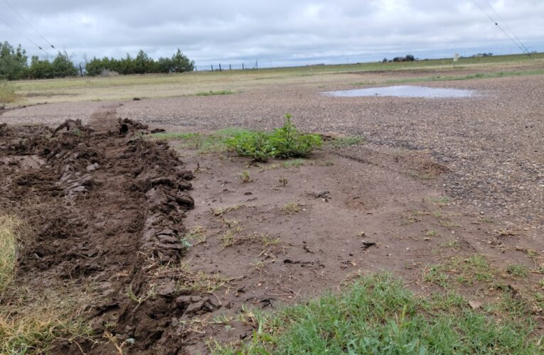 Beneficial Rainfall Blankets West Texas Though Drought Persists