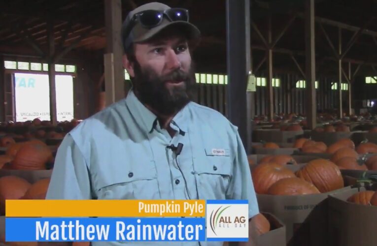 VIDEO: Pumpkins in Floyd County, Texas